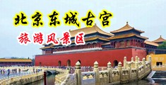 骚逼想要大鸡巴快点插进来疯狂操淫穴视频中国北京-东城古宫旅游风景区